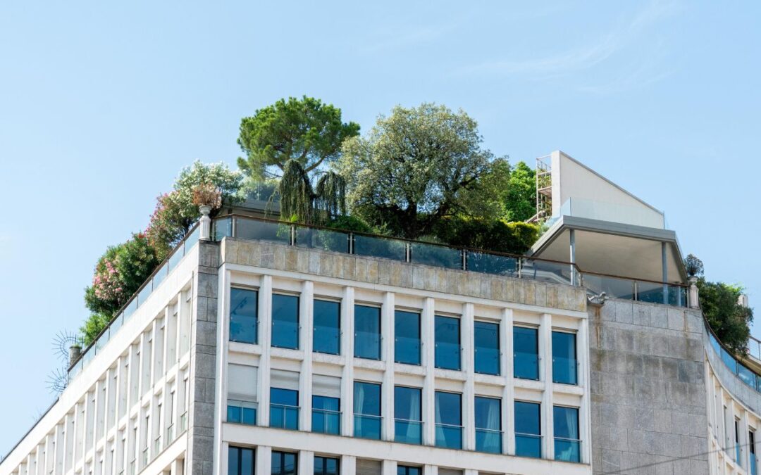 Modern duurzaam gebouw met groendak passend bij EPBD IV en energielabels