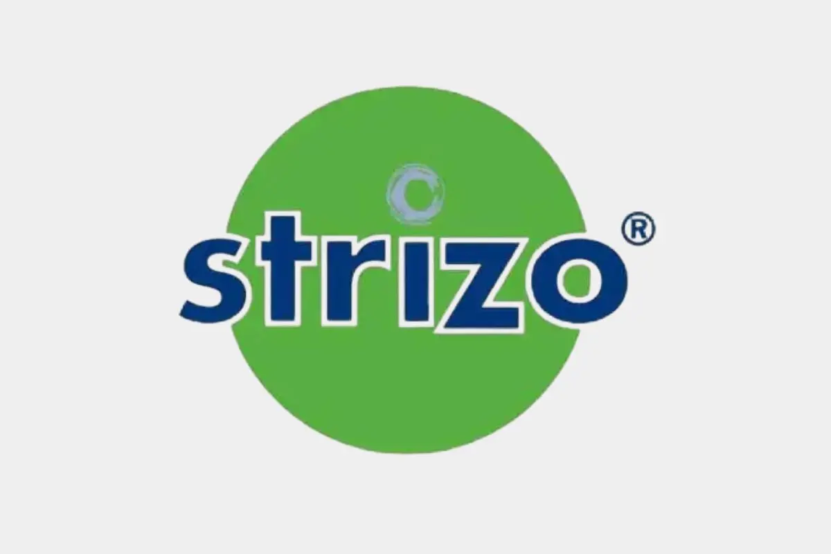 Omgevingsvergunning voor Strizo