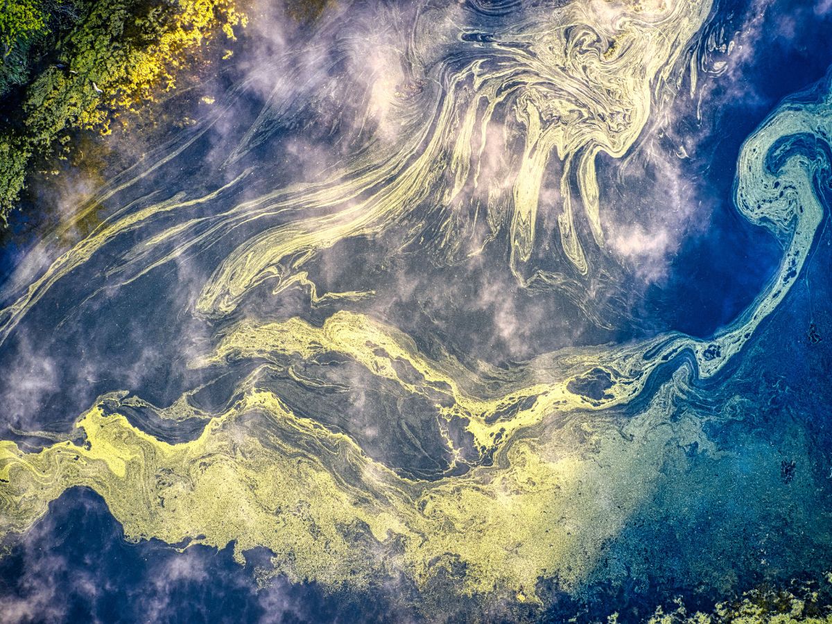 Oppervlaktewater als illustratie bij het RIVM-rapport over PFAS